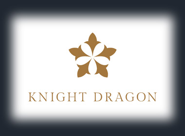 Knight Dragon